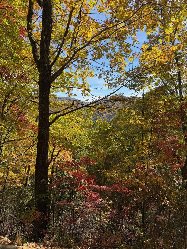 Photo of Lot 11 High Springs Road, Bryson City, NC 28713 (MLS # 26048889)