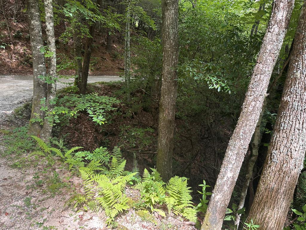 00 Davis Road