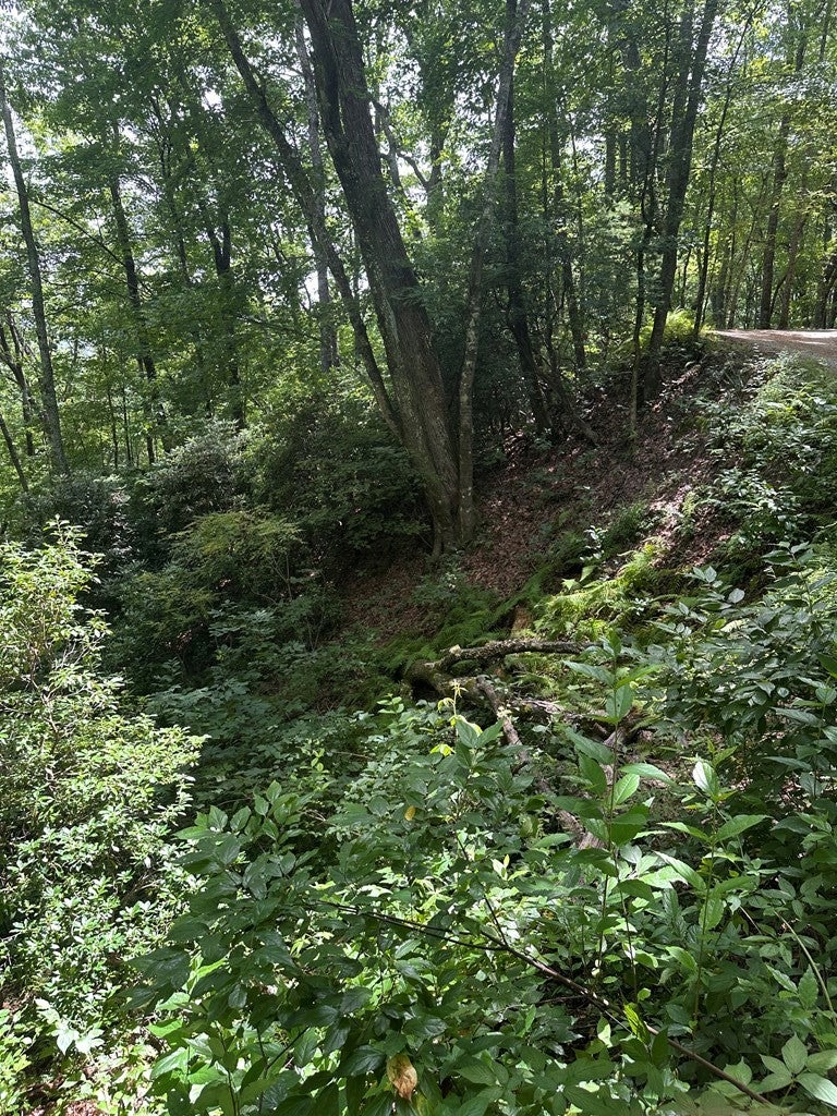 00 Davis Road
