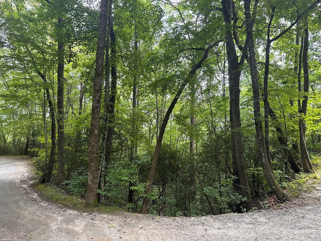 00 Davis Road