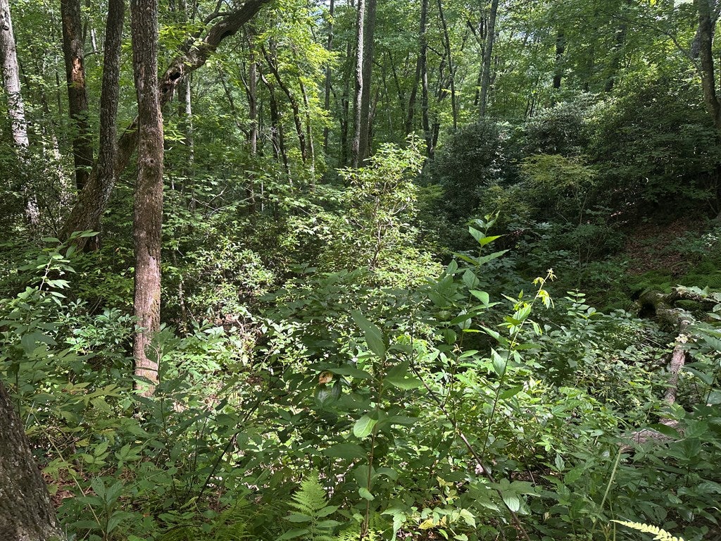 00 Davis Road