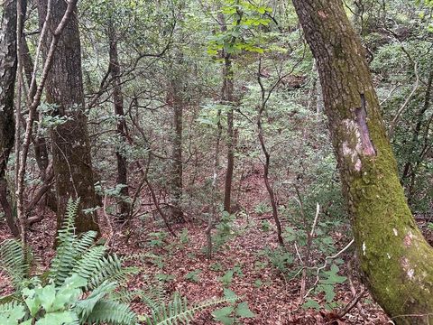 Photo of 00 Davis Road, Otto, NC 28763 (MLS # 26047984)