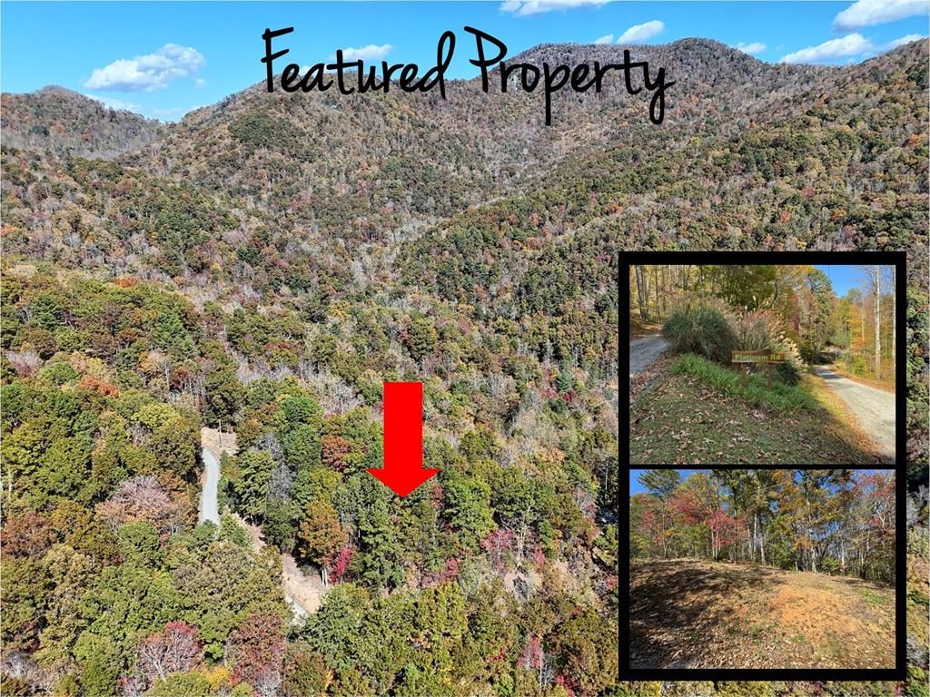 Photo of 0 Platinum, Tuckasegee, NC 28783 (MLS # 26042472)
