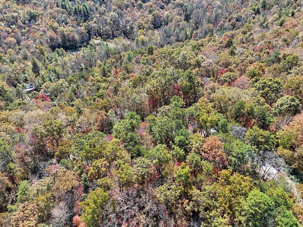 Photo of 0 Platinum, Tuckasegee, NC 28783 (MLS # 26042472)