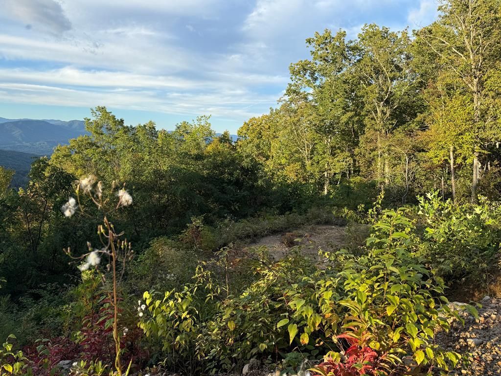 Photo of 585 Cardinal Bluff Drive, Whittier, NC 28789 (MLS # 26042767)