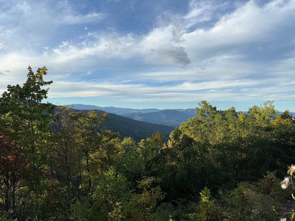 Photo of 585 Cardinal Bluff Road, Whittier, NC 28789 (MLS # 26042767)