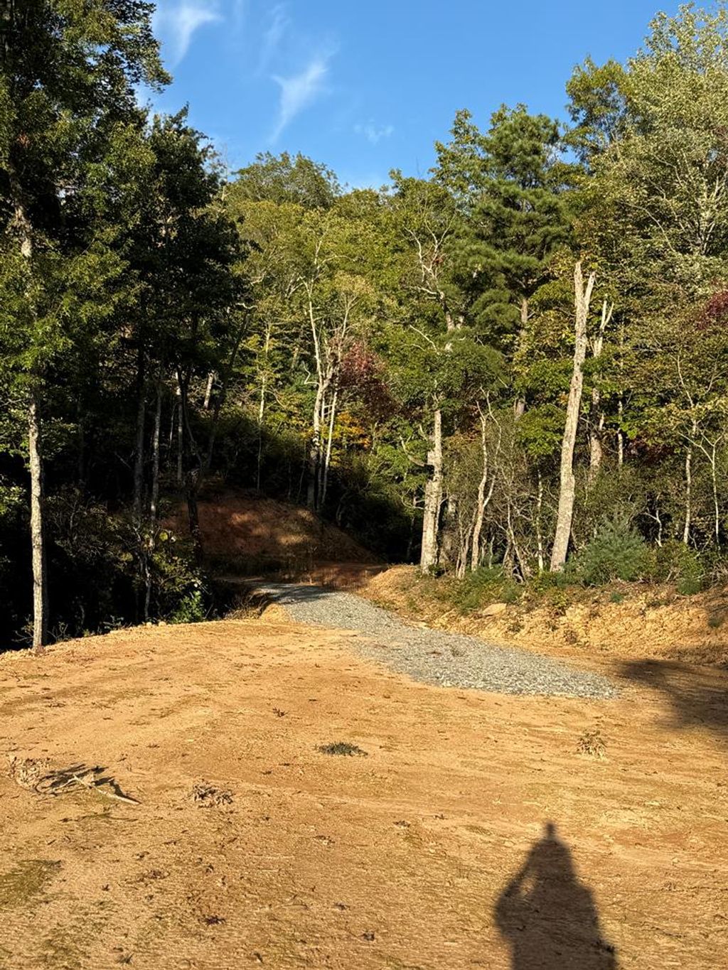 Photo of 585 Cardinal Bluff Drive, Whittier, NC 28789 (MLS # 26042767)