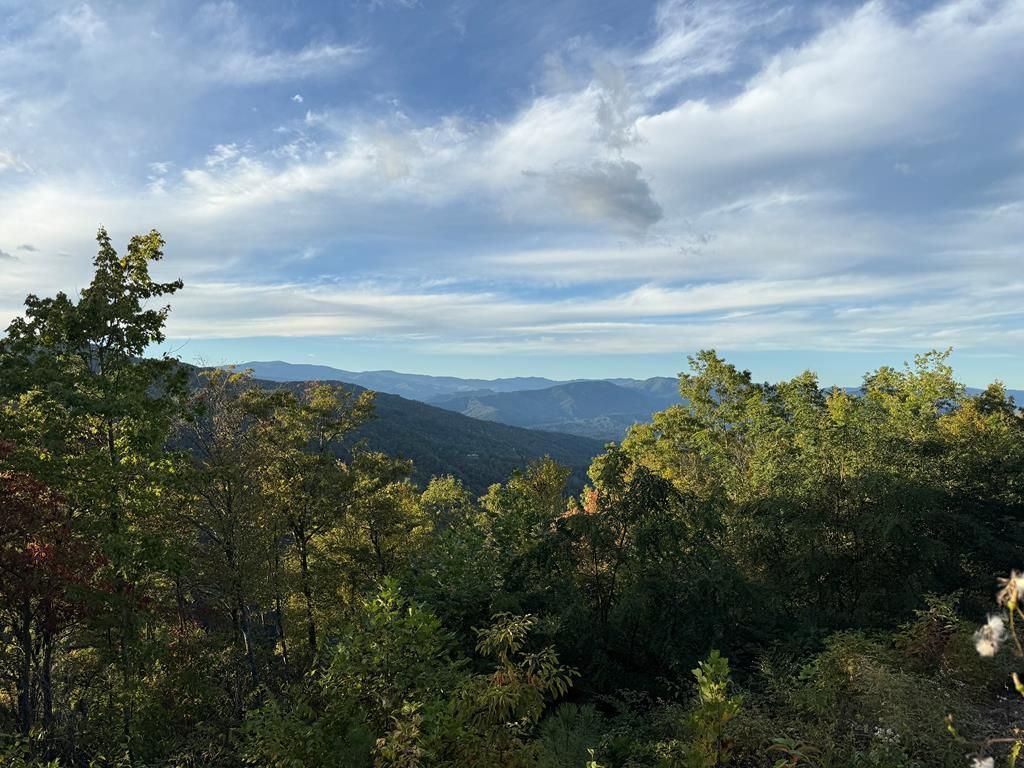 Photo of 585 Cardinal Bluff Drive, Whittier, NC 28789 (MLS # 26042767)