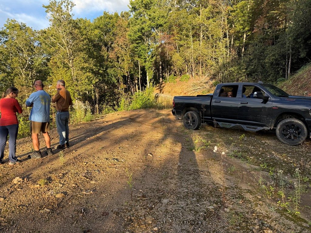 Photo of 585 Cardinal Bluff Road, Whittier, NC 28789 (MLS # 26042767)