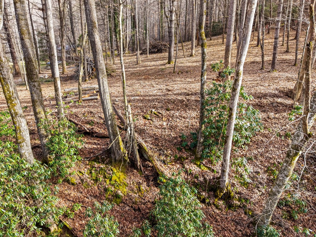 Lot 2 Craig Dr