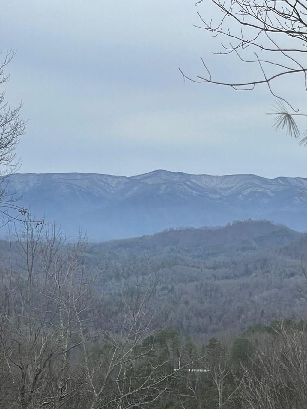 Photo of 105 Starlight Ln, Bryson City, NC 28713 (MLS # 26041840)
