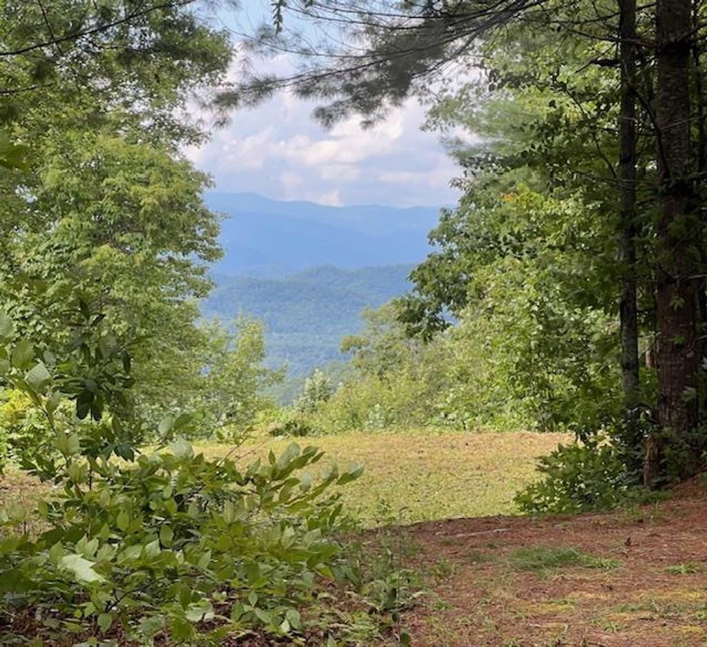 Photo of 105 Starlight Ln, Bryson City, NC 28713 (MLS # 26041840)