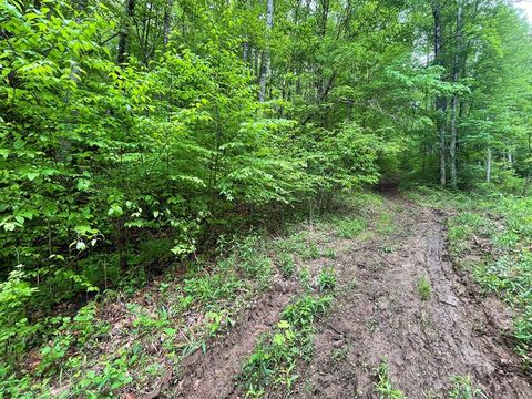 Photo of 00 Horseshoe Ridge Road, Franklin, NC 28734 (MLS # 26046576)