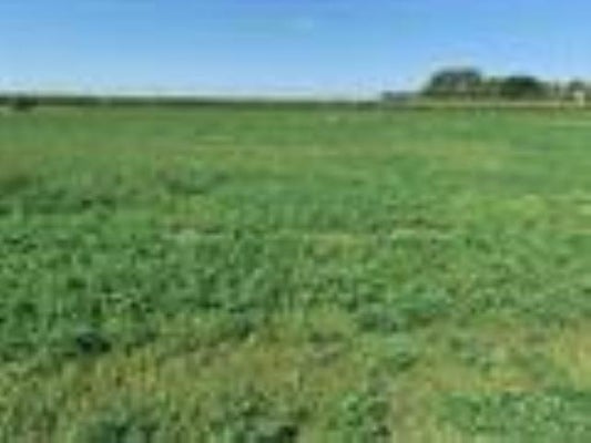 S LINCOLN AVE, MINDEN, NE 68959 - Image 265fa0698e7908a7bde7f8cd34e8d3f1/2403579542