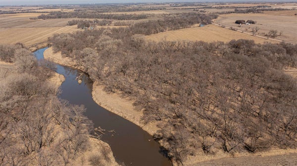 COUNTY ROAD 2350, WILBER, NE 68465 - Image 4c8e1ed705f767191aa6a0d91a320aa9/2733918294