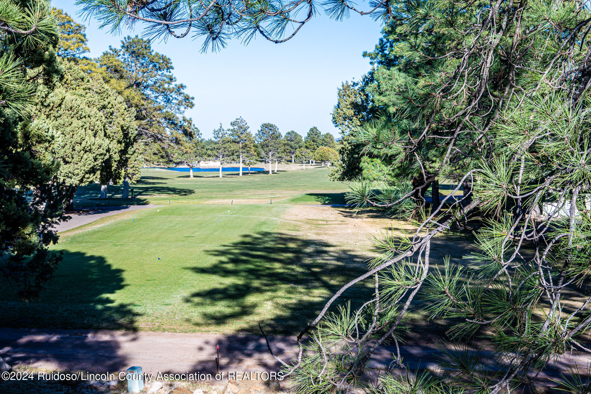 411 High Mesa Road, Alto, New Mexico image 9