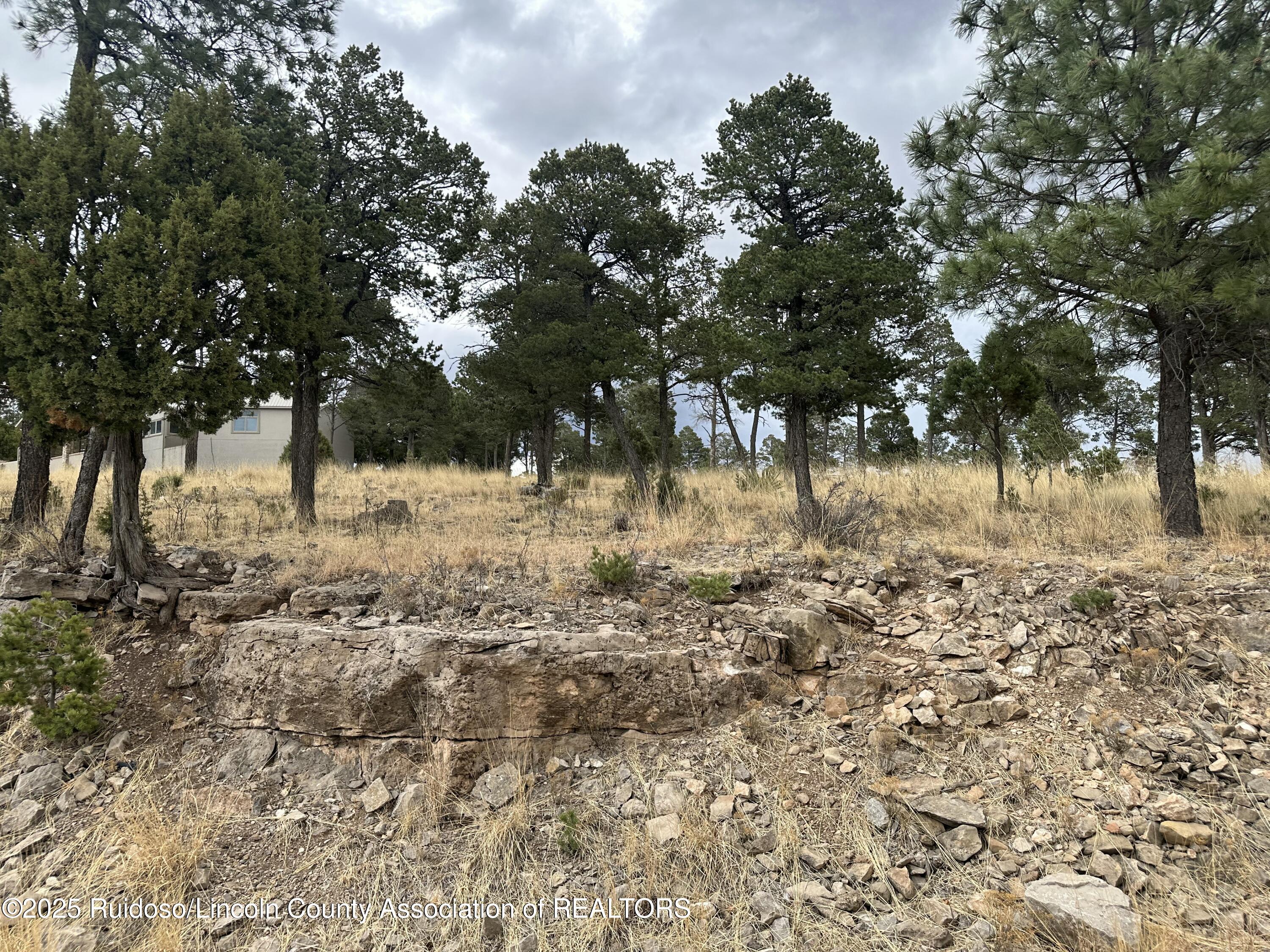 106 Avalon Court, Ruidoso, New Mexico image 3