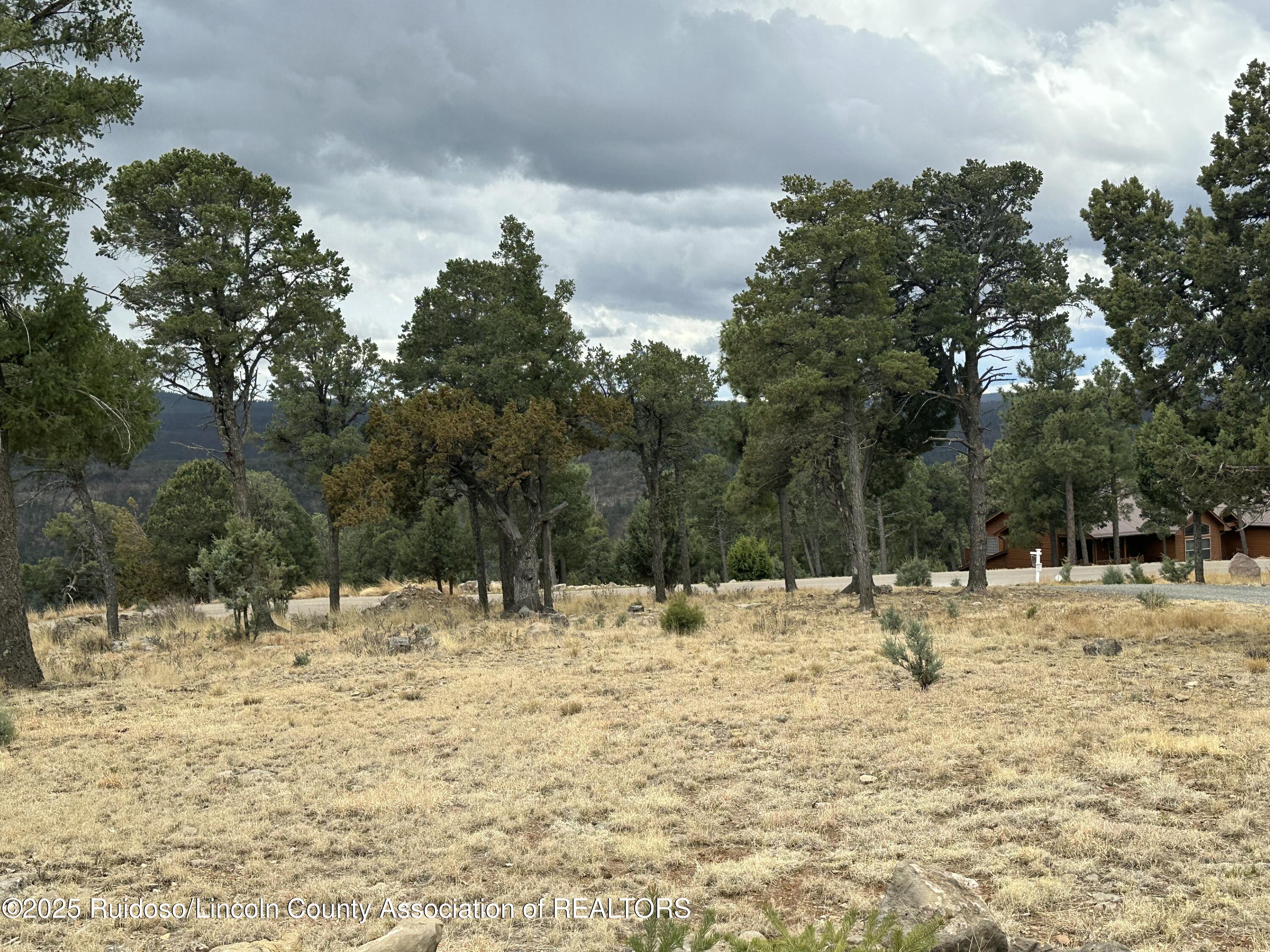 106 Avalon Court, Ruidoso, New Mexico image 8