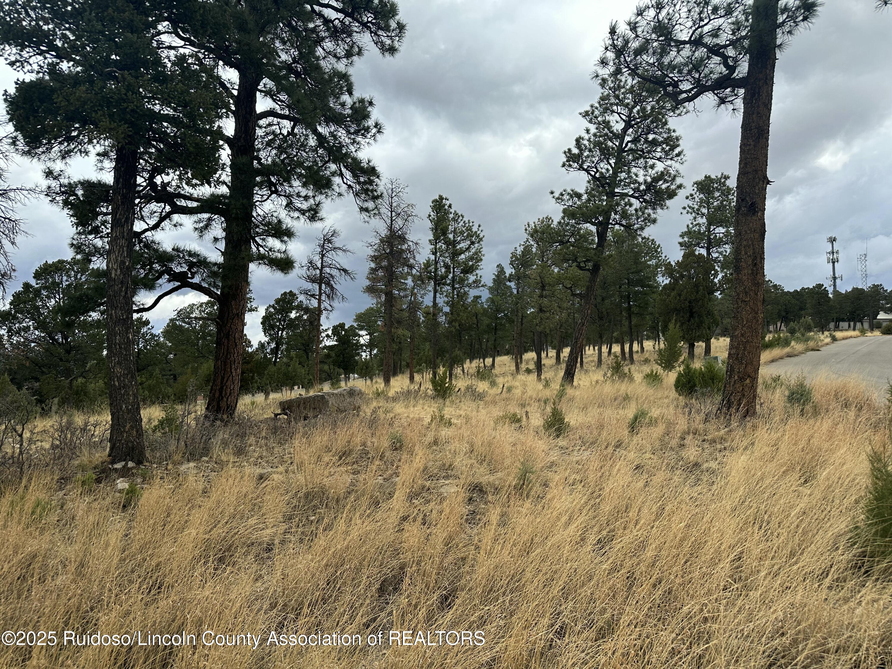 106 Avalon Court, Ruidoso, New Mexico image 5