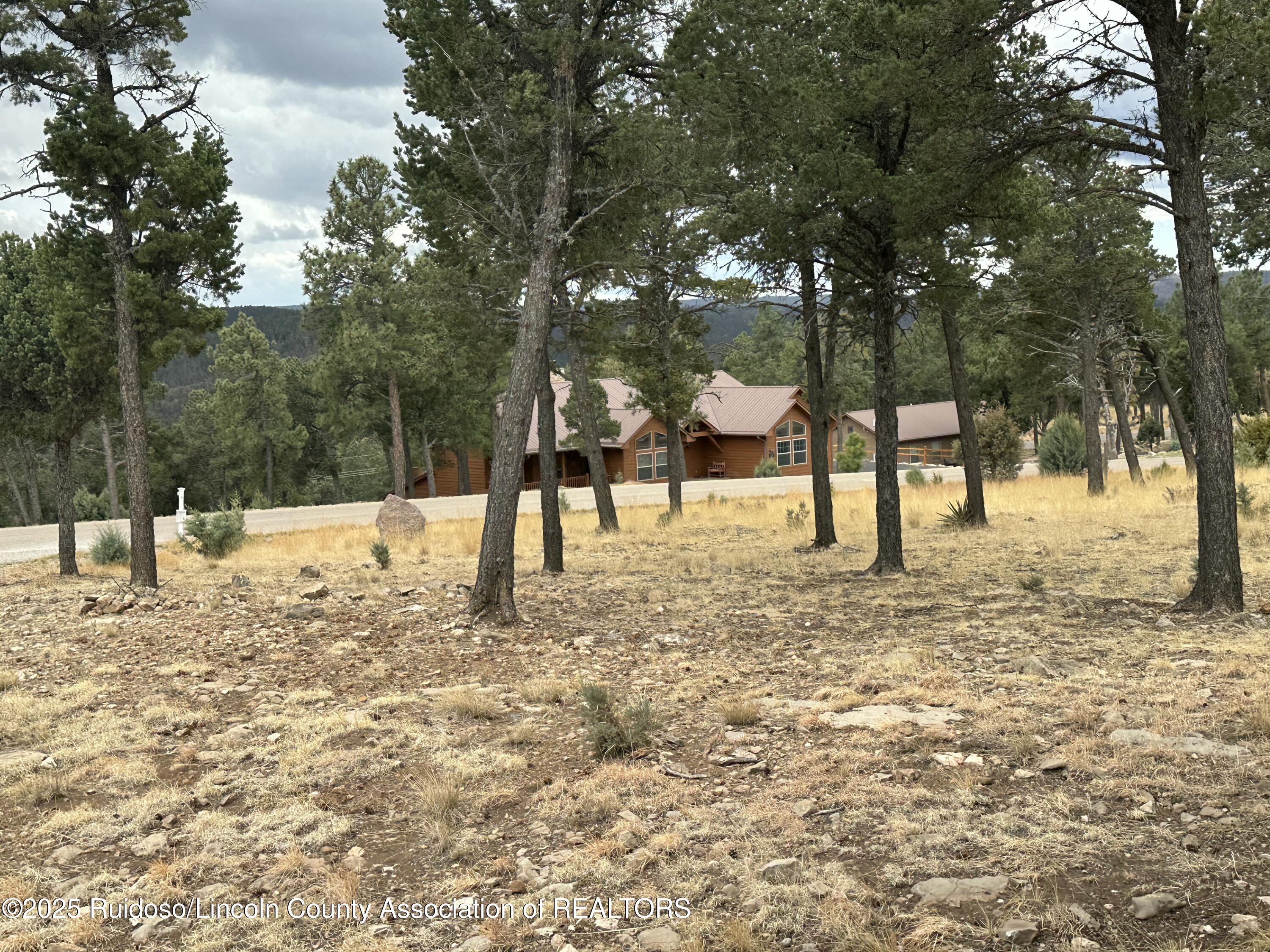 106 Avalon Court, Ruidoso, New Mexico image 10