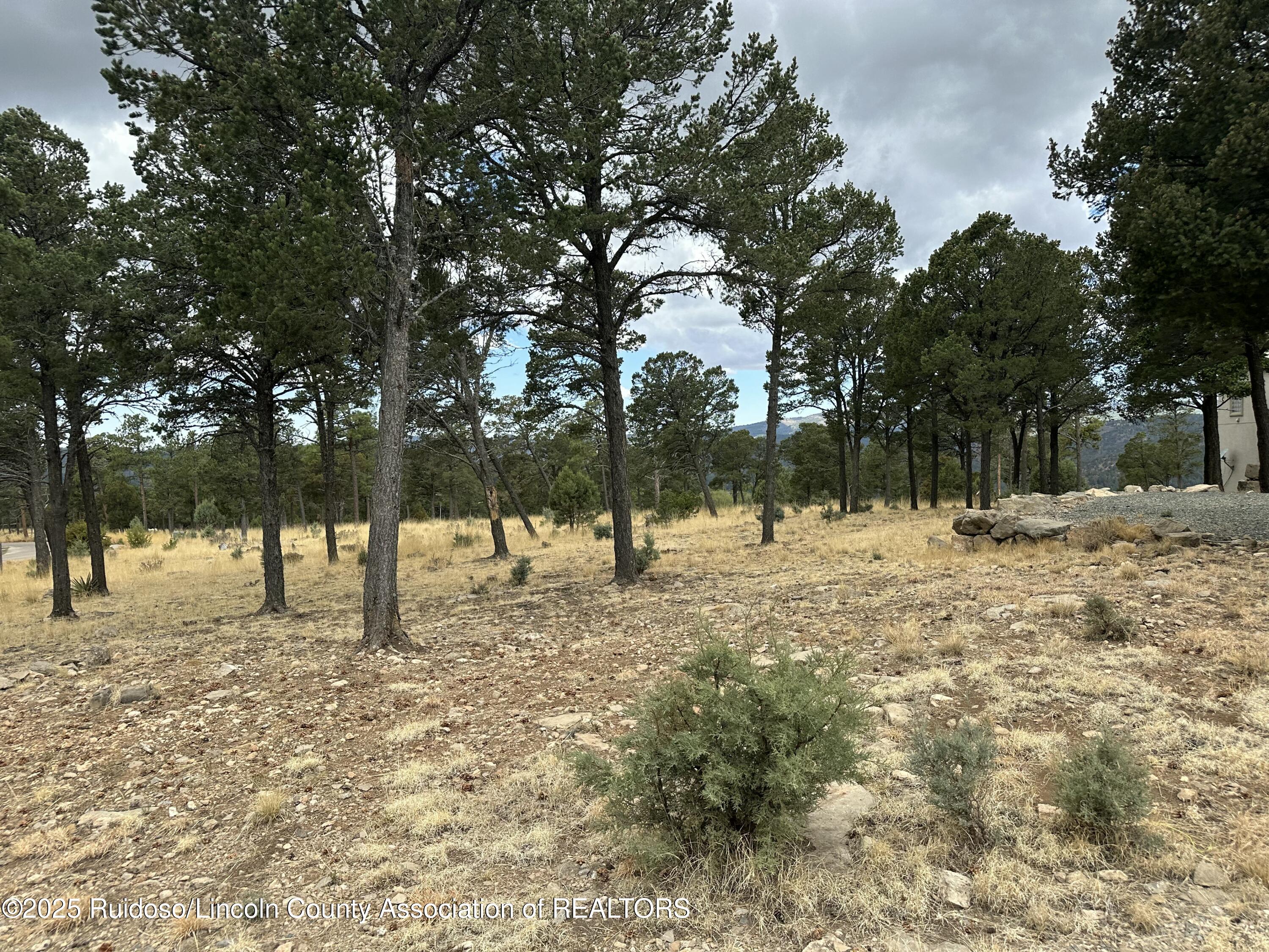 106 Avalon Court, Ruidoso, New Mexico image 1