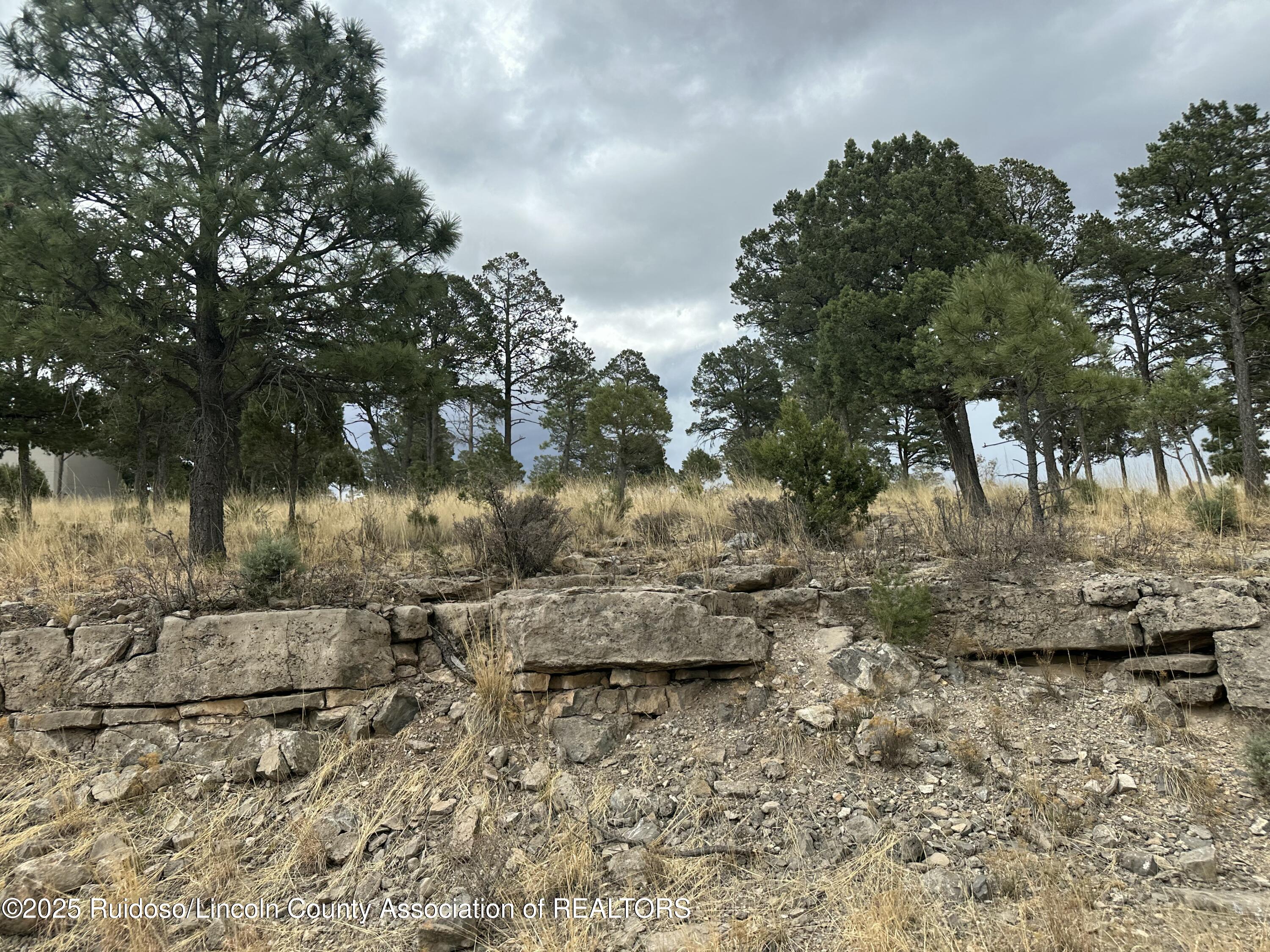 106 Avalon Court, Ruidoso, New Mexico image 4