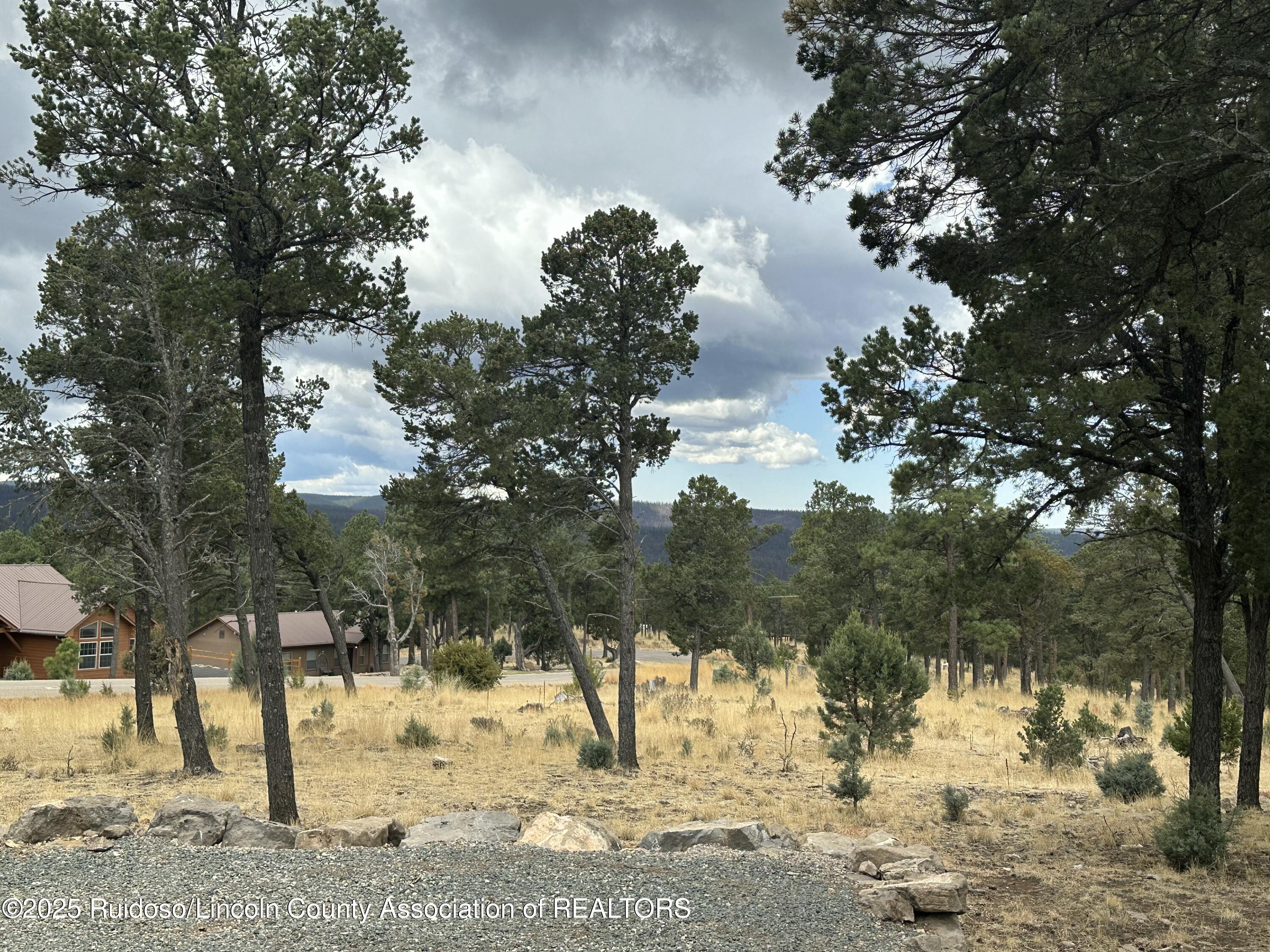 106 Avalon Court, Ruidoso, New Mexico image 12