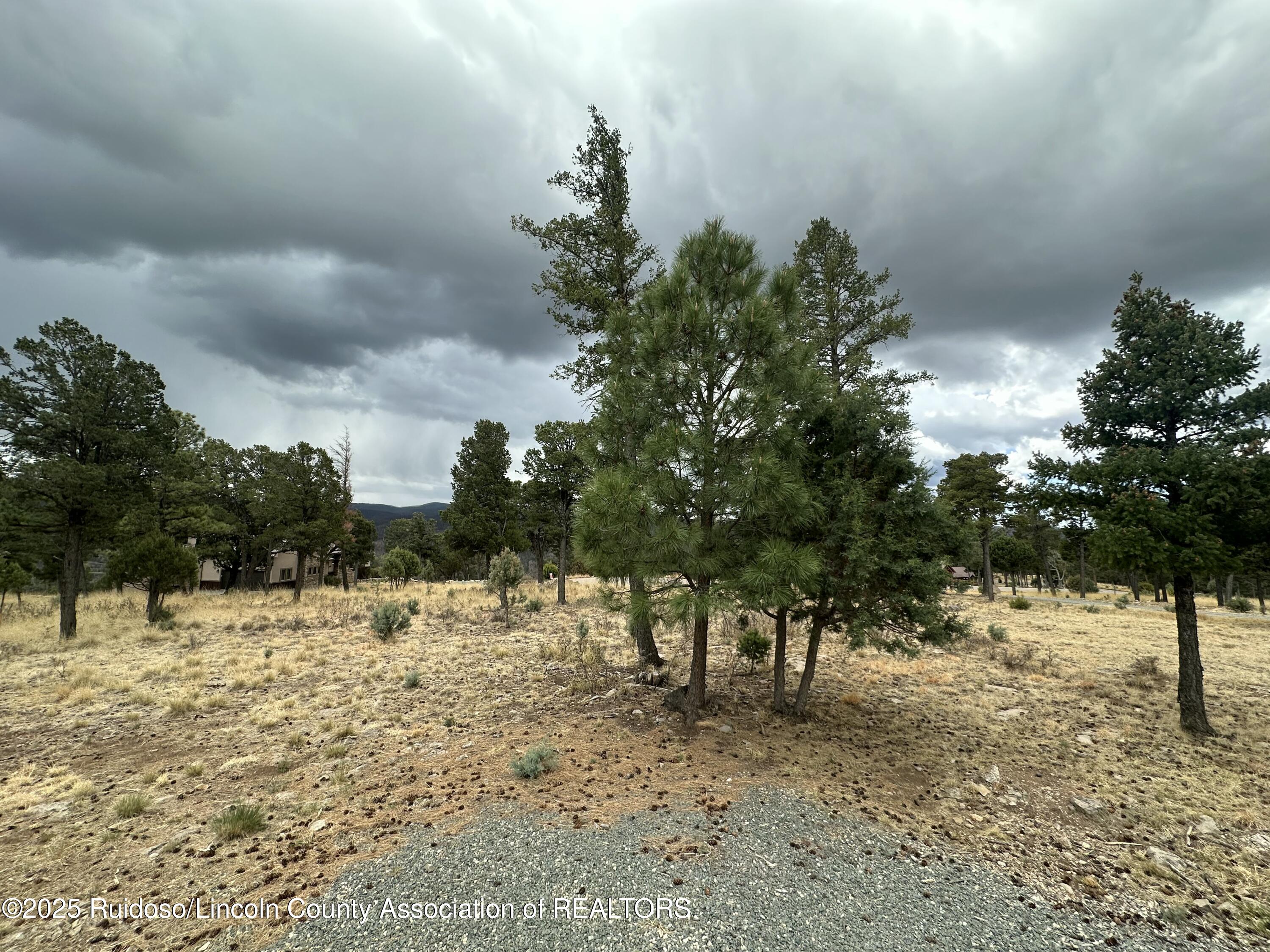 106 Avalon Court, Ruidoso, New Mexico image 6