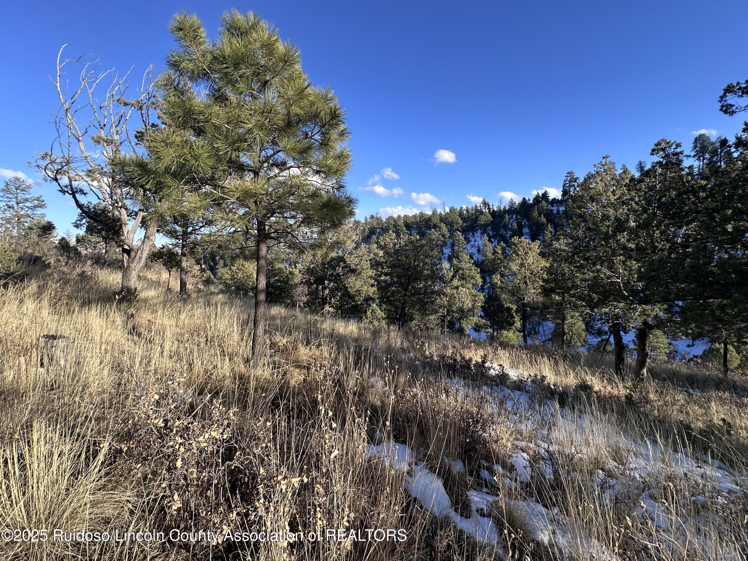 108 Nottingham Drive, Ruidoso, New Mexico image 5