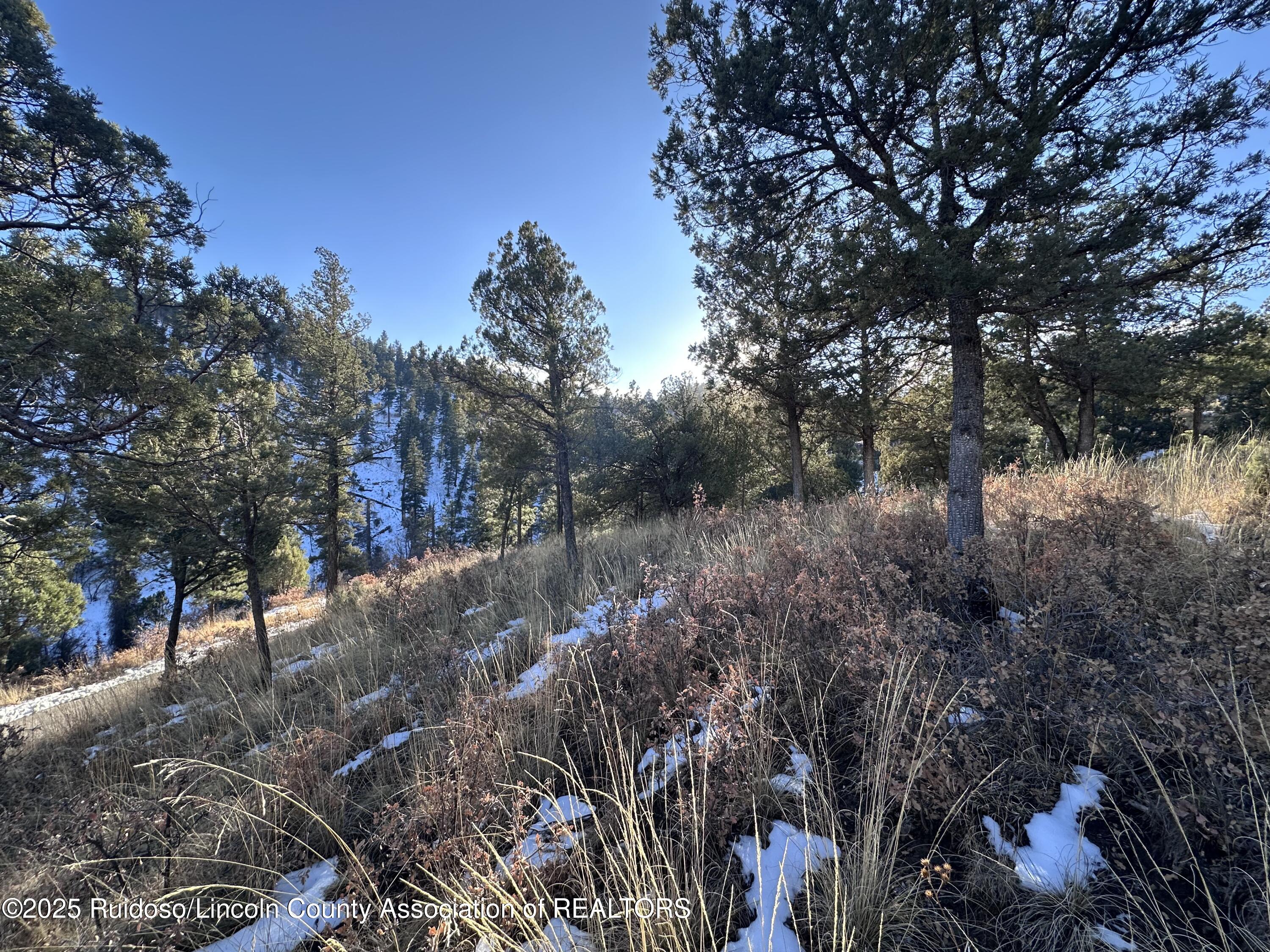 108 Nottingham Drive, Ruidoso, New Mexico image 3