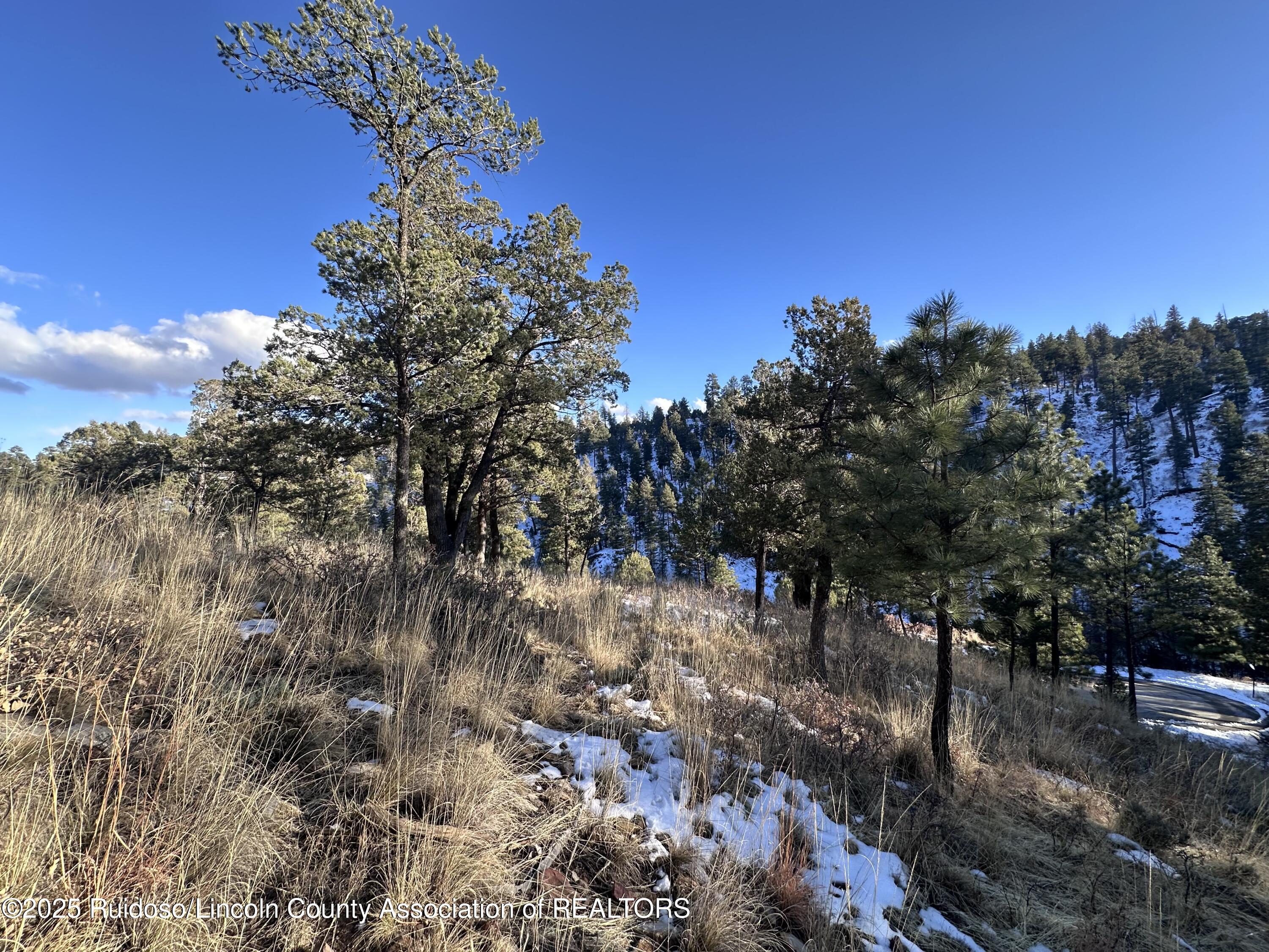 108 Nottingham Drive, Ruidoso, New Mexico image 7