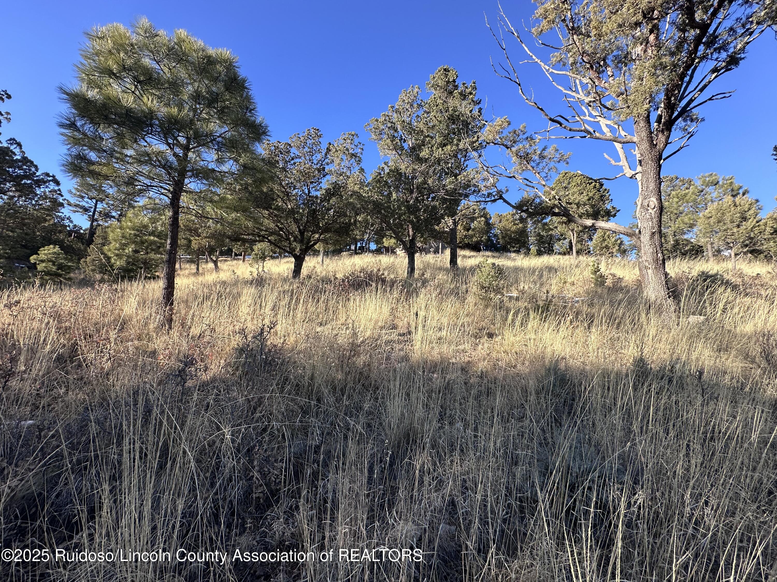 108 Nottingham Drive, Ruidoso, New Mexico image 1