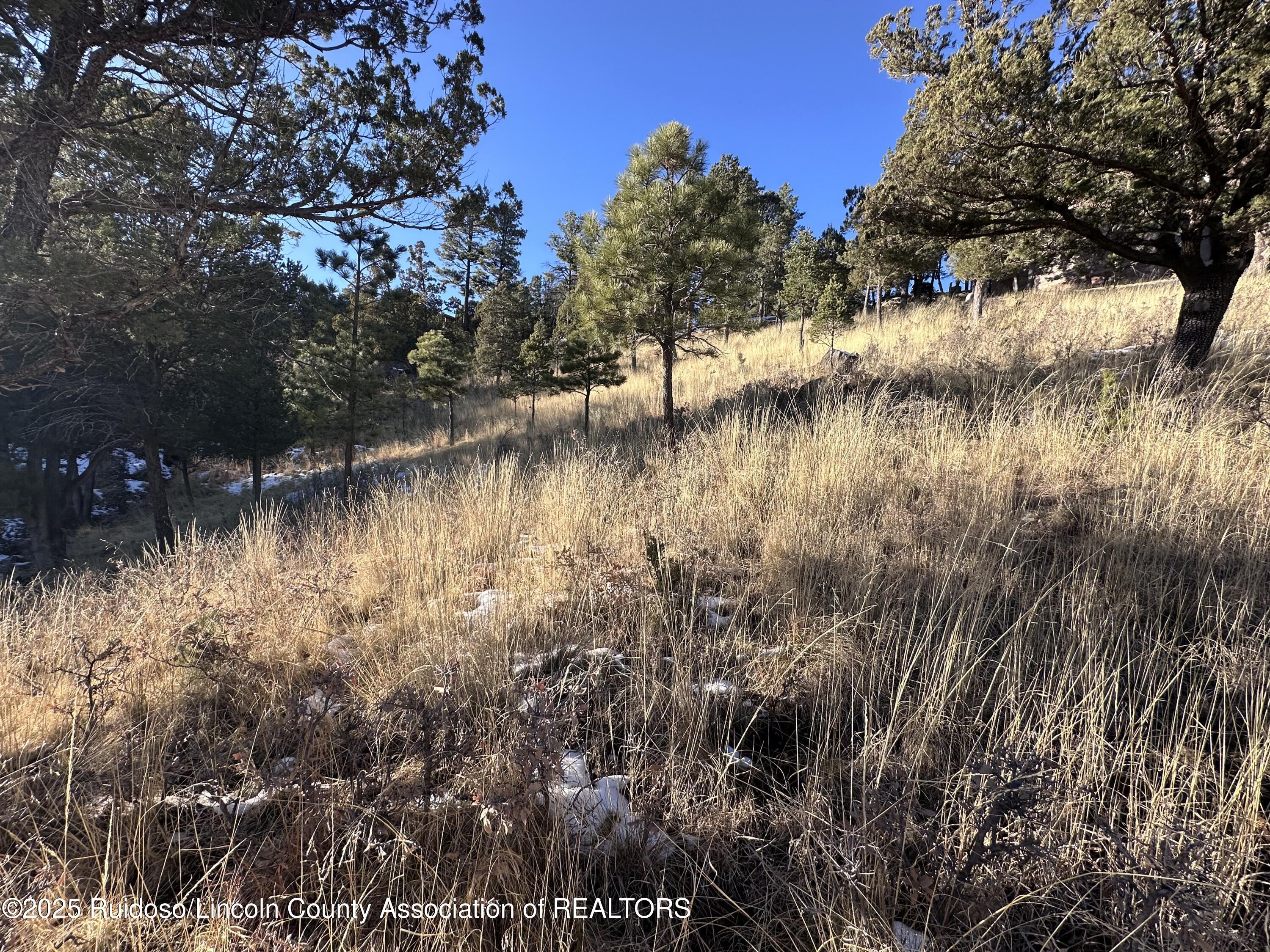 108 Nottingham Drive, Ruidoso, New Mexico image 2