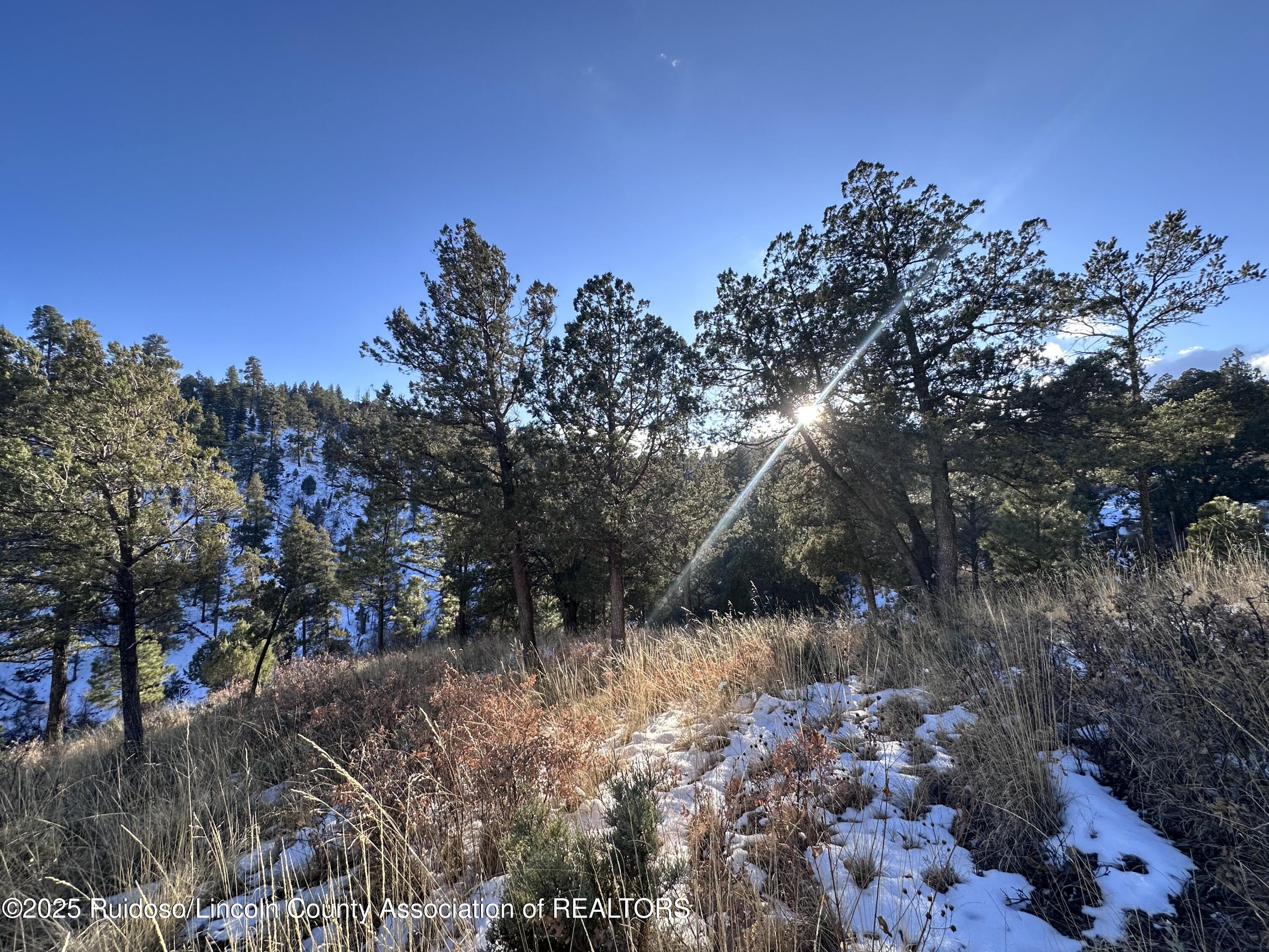 108 Nottingham Drive, Ruidoso, New Mexico image 4