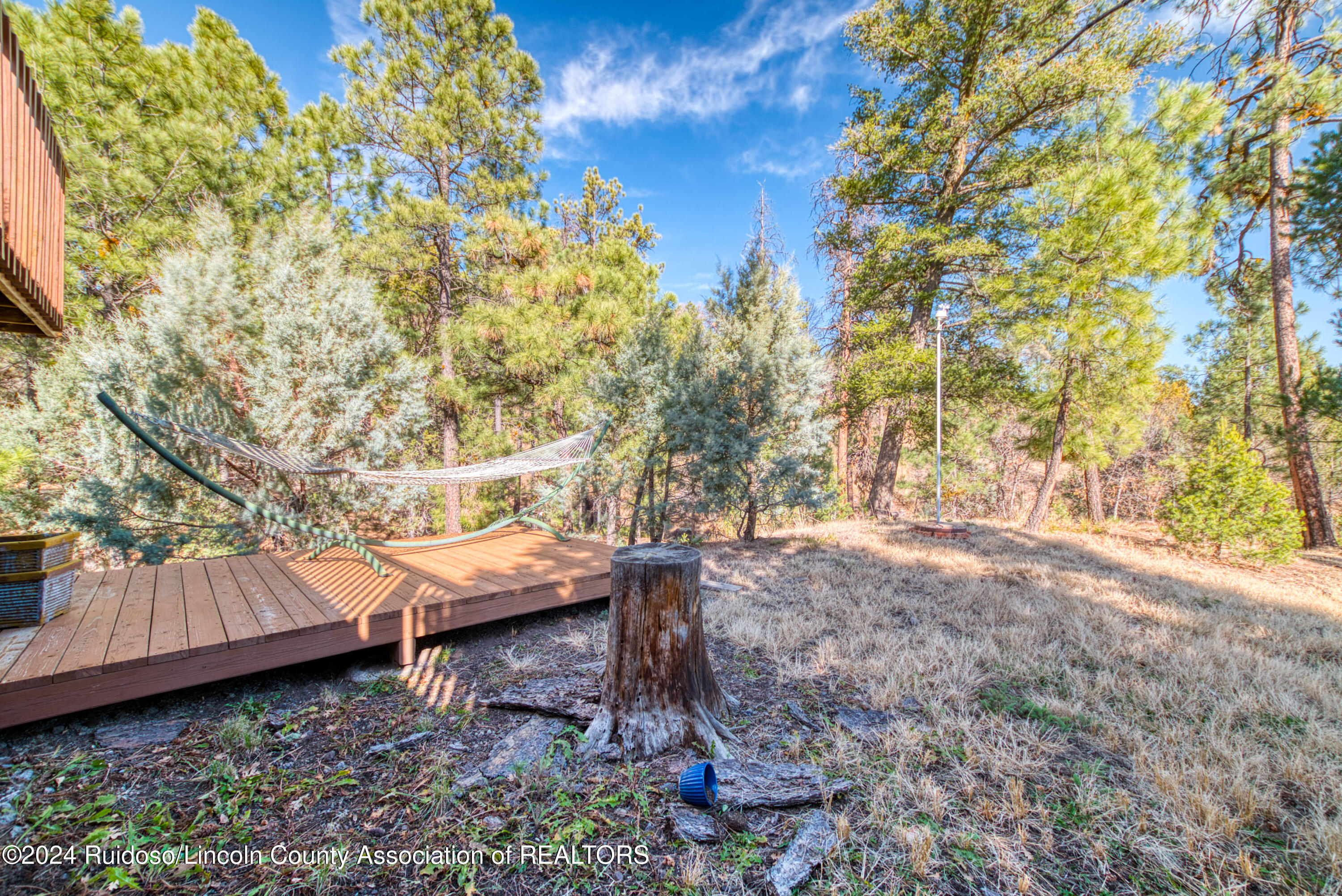 102 Modoc Place, Ruidoso, New Mexico image 48