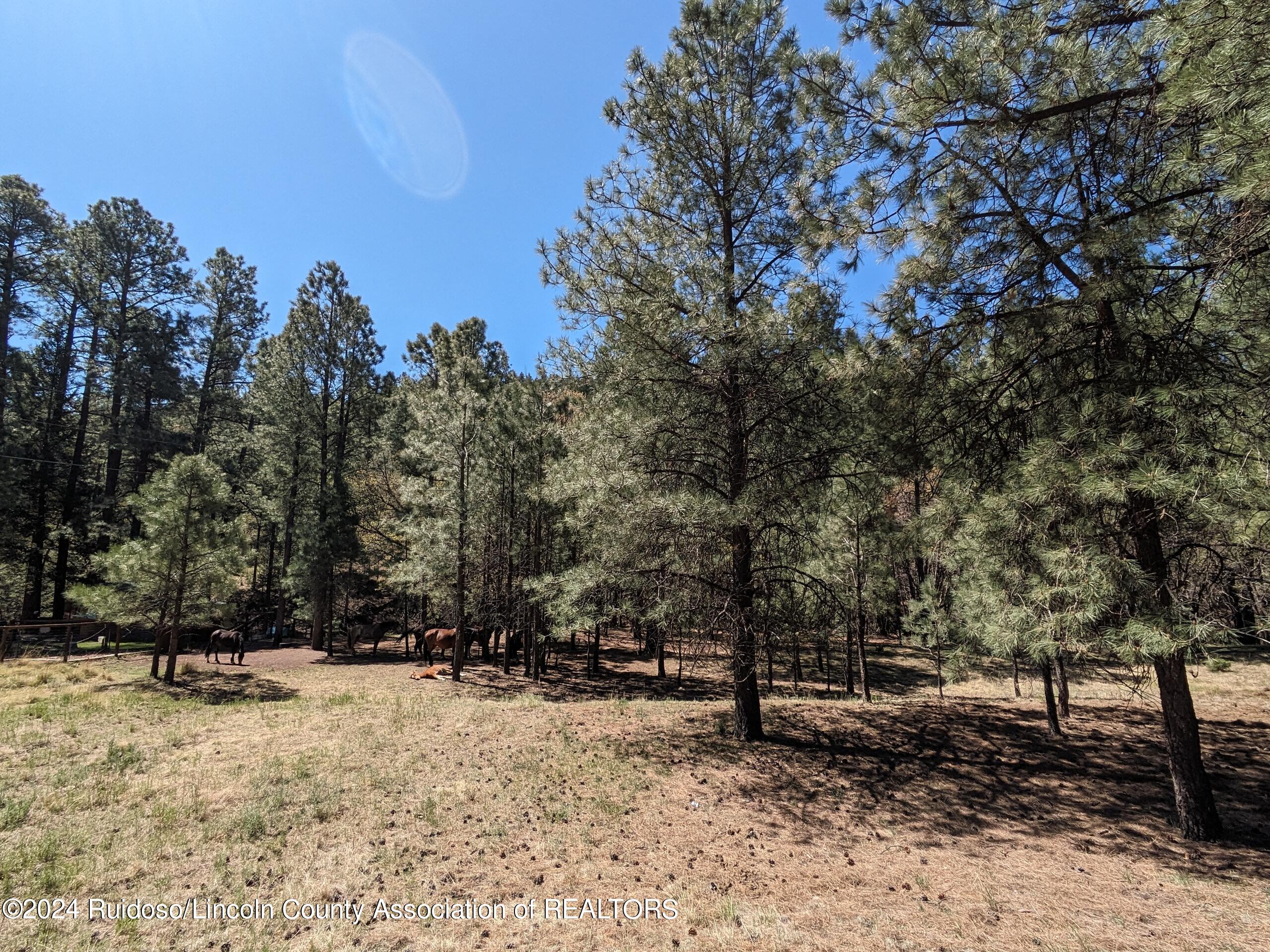 Lots 2 & 3 Gavilan Road, Ruidoso, New Mexico image 1