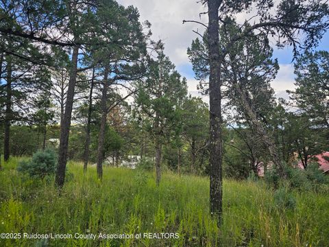 Homes For Sale - 210 Granite Drive<br/> Ruidoso, NM 88355