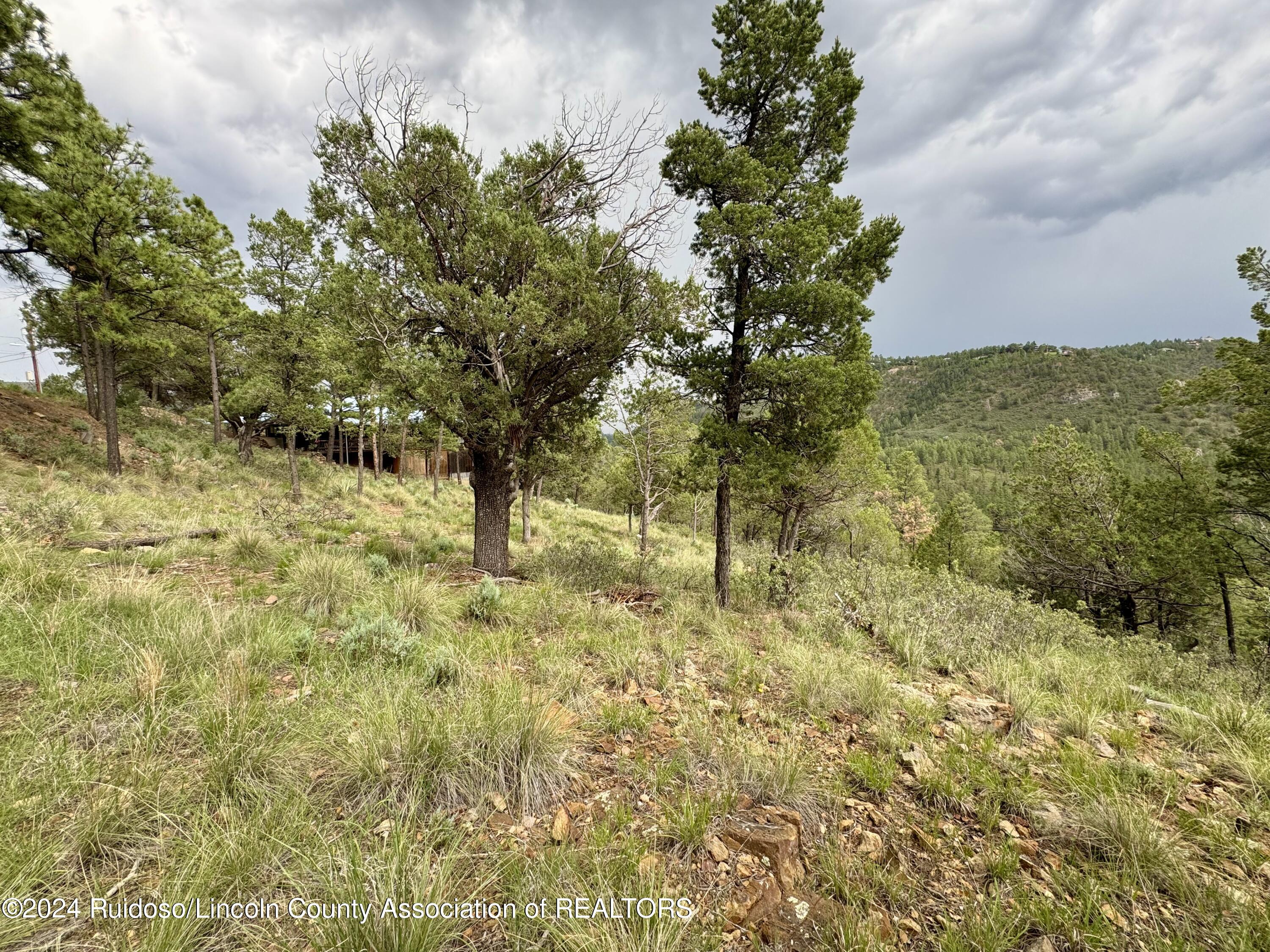 732 Center Street, Ruidoso, New Mexico image 8