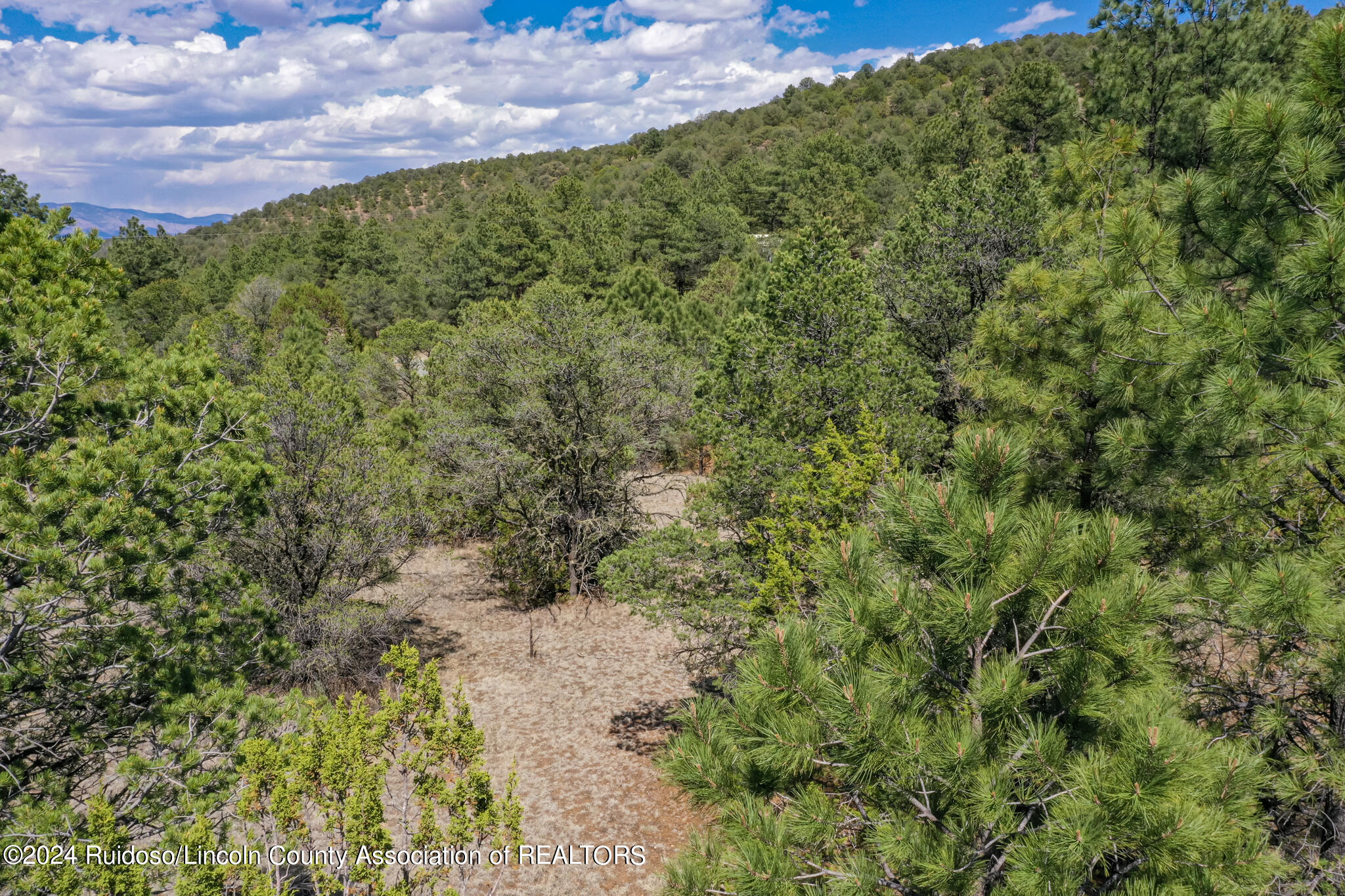 189 Chama Canyon Road, Alto, New Mexico image 6