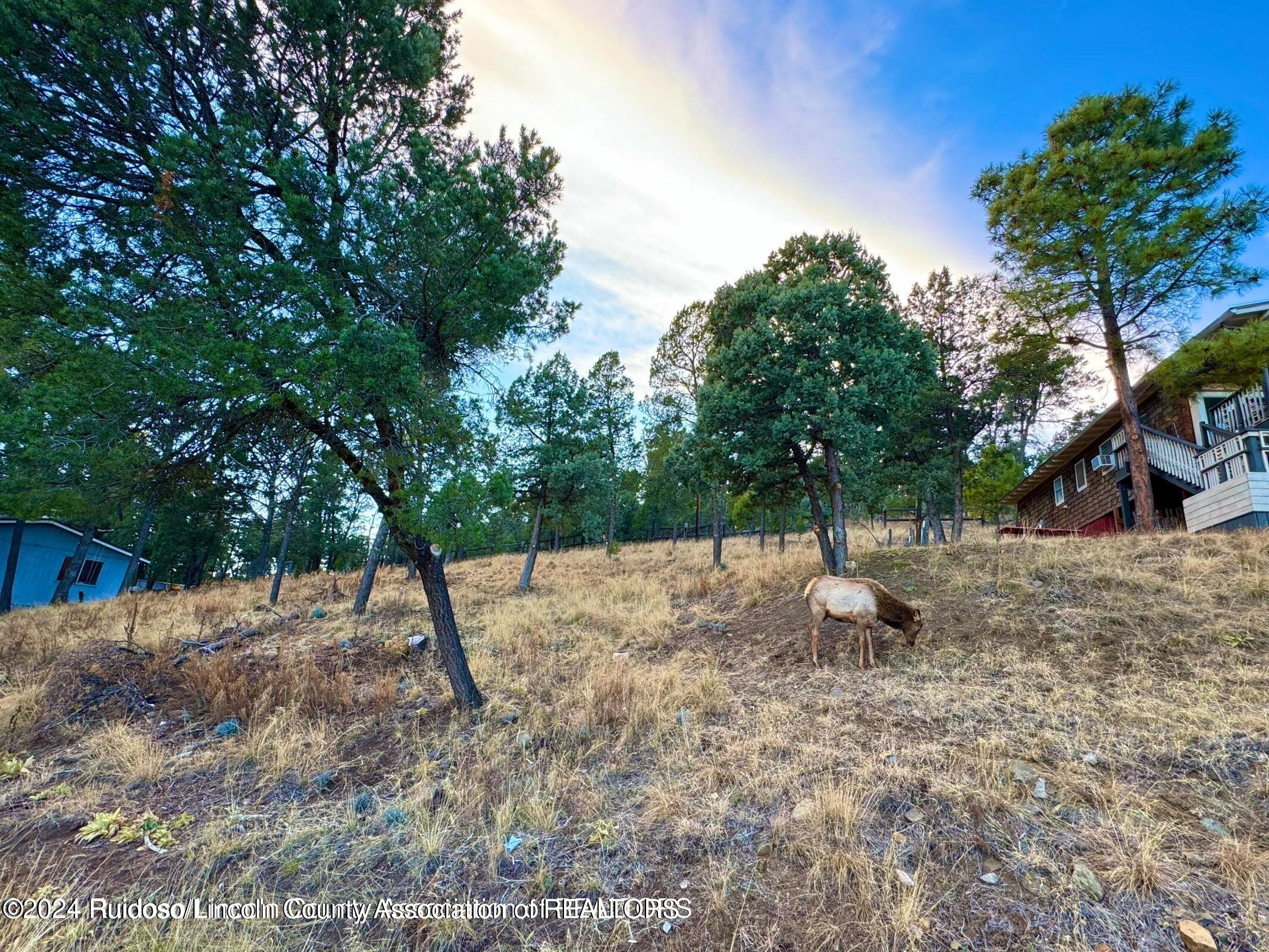 107 Rio Arriba Road, Ruidoso, New Mexico image 7