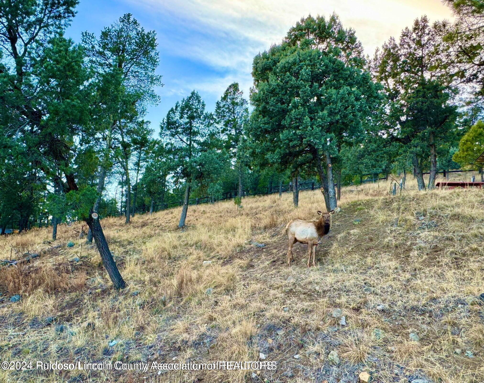 107 Rio Arriba Road, Ruidoso, New Mexico image 6