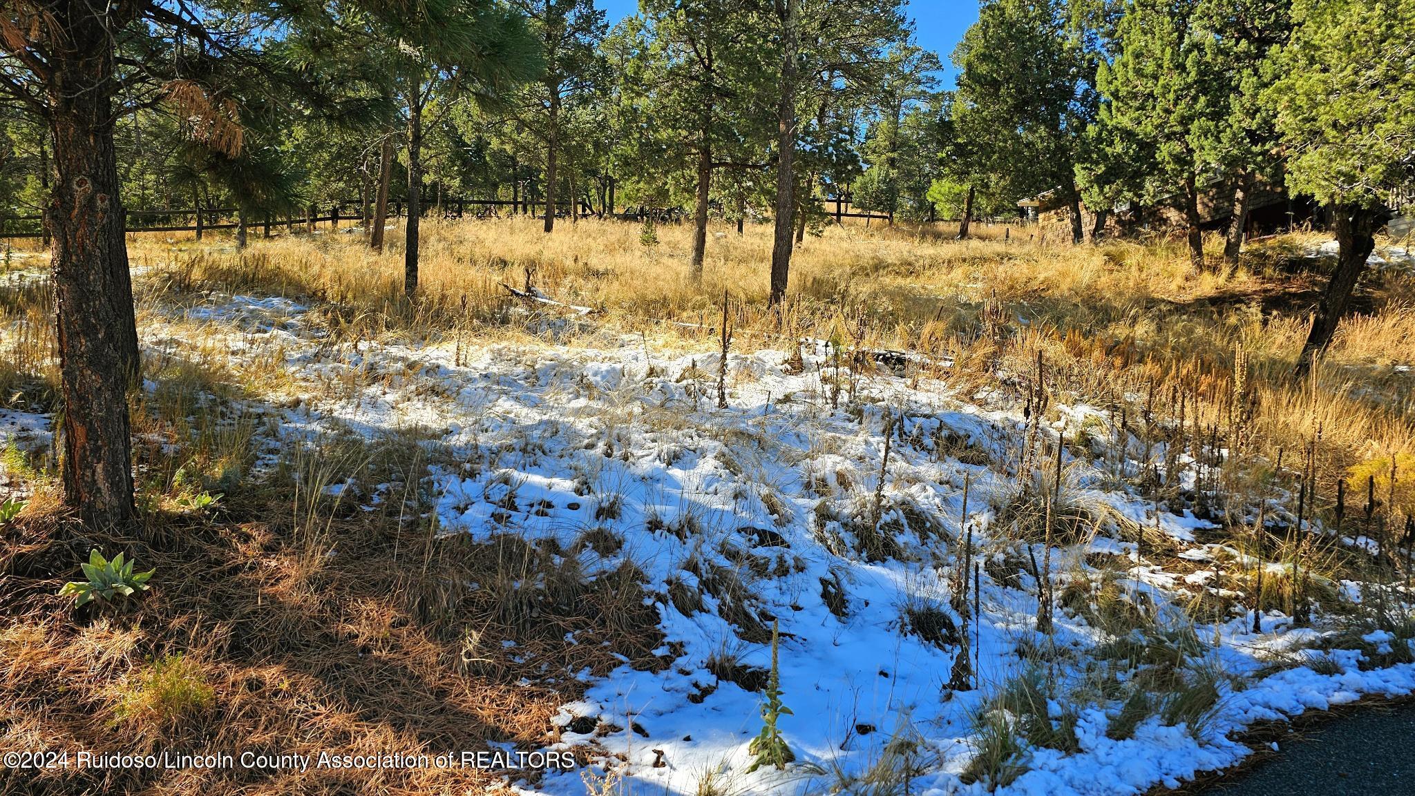 107 Rio Arriba Road, Ruidoso, New Mexico image 1