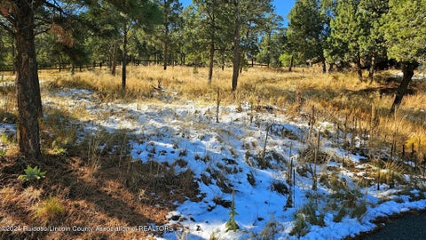 Vacant Land For Sale - 107 Rio Arriba Road<br/> Lincoln County, Ruidoso, NM 88345