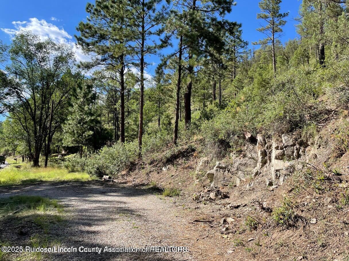 222 Paradise Canyon Drive, Ruidoso, New Mexico image 4