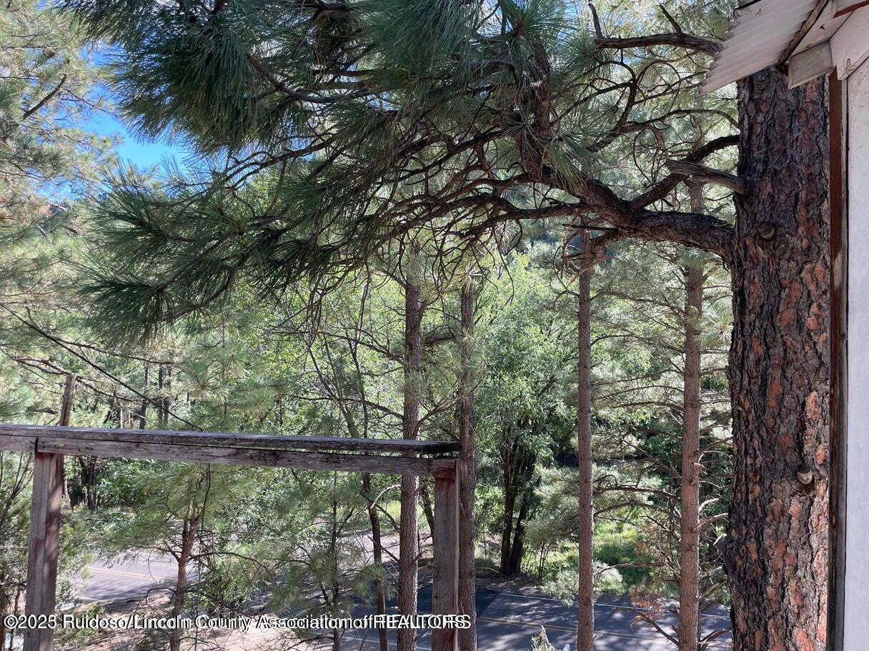 222 Paradise Canyon Drive, Ruidoso, New Mexico image 12