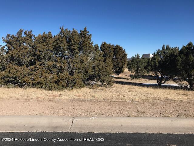 Lot 8 Spencer Road, Alto, New Mexico image 4