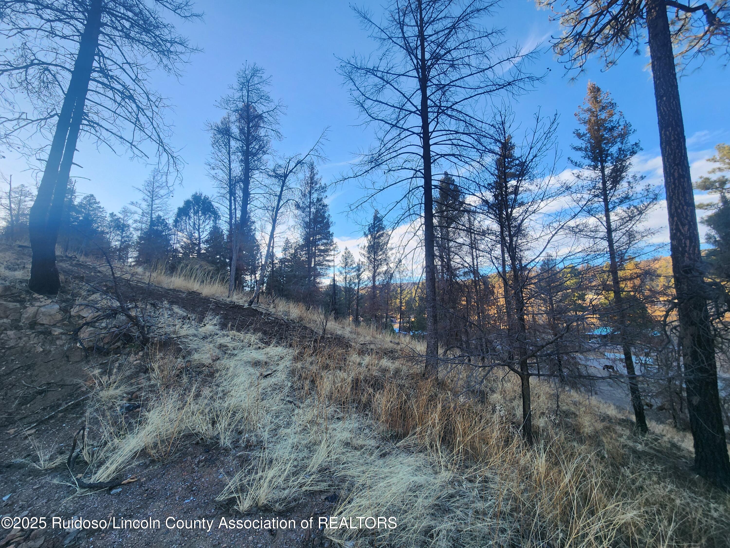 102 Sequoia Drive, Ruidoso, New Mexico image 4
