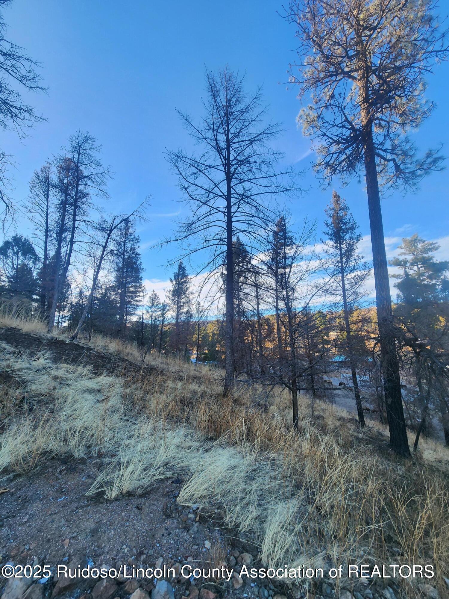102 Sequoia Drive, Ruidoso, New Mexico image 8