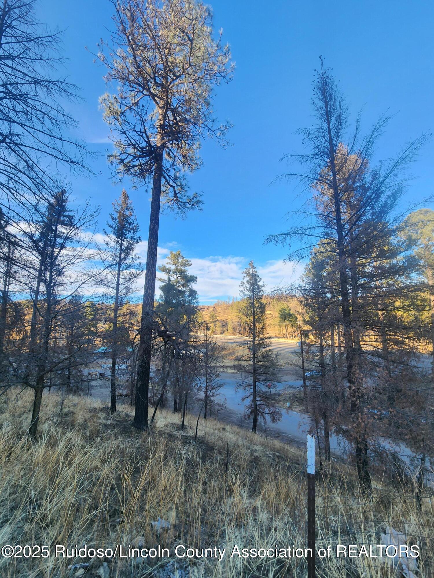 102 Sequoia Drive, Ruidoso, New Mexico image 7