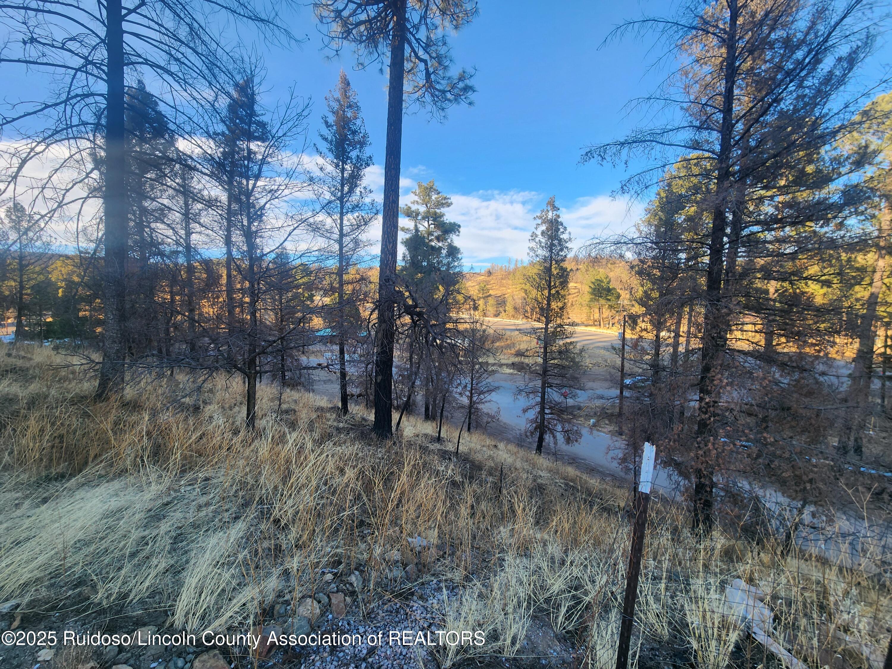 102 Sequoia Drive, Ruidoso, New Mexico image 9